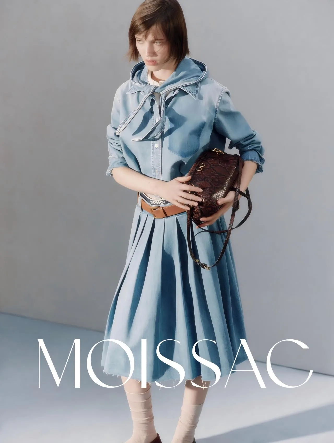 ANAIS FOR MOISSAC
