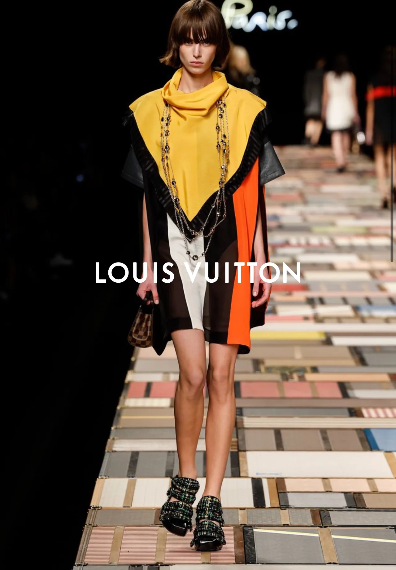 LOUIS VUITTON (3)