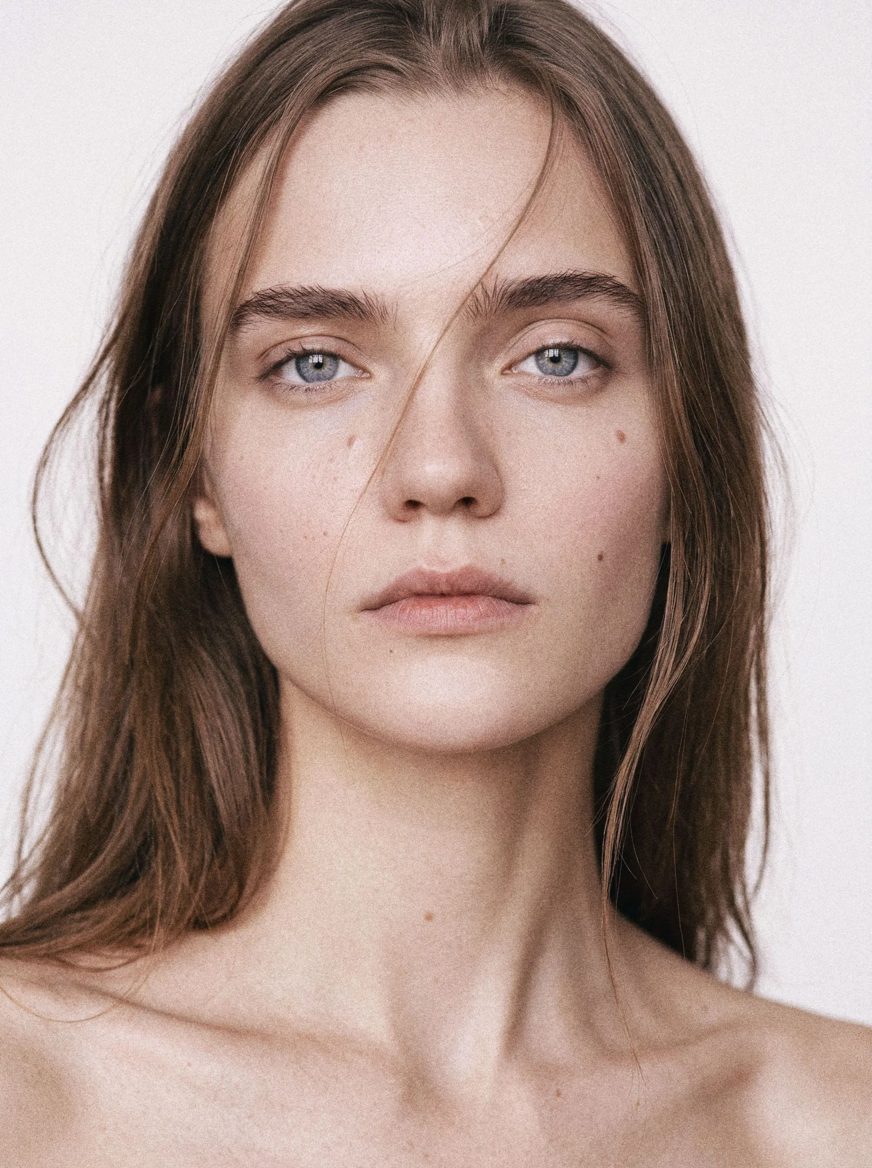 MAIA V